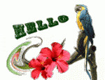 Click image for larger version

Name:	peroquet_hello.gif
Views:	262
Size:	55.8 KB
ID:	38146