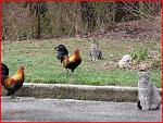 Click image for larger version

Name:	Capture.JPG
Views:	228
Size:	185.6 KB
ID:	38287