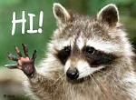 Click image for larger version

Name:	hitlerscoon.jpg
Views:	145
Size:	13.4 KB
ID:	38379