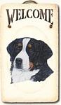 Click image for larger version

Name:	Bernese.jpg
Views:	261
Size:	9.5 KB
ID:	38584
