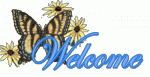 Click image for larger version

Name:	butterflywelcomeblue.gif
Views:	241
Size:	12.7 KB
ID:	38947