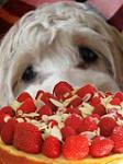 Click image for larger version

Name:	WDE_1 Kopie.jpg
Views:	166
Size:	41.0 KB
ID:	42663
