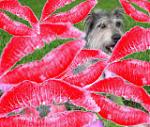 Click image for larger version

Name:	Sandy Kopie.jpg
Views:	177
Size:	65.3 KB
ID:	42674