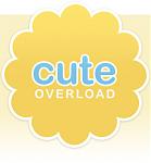 Click image for larger version

Name:	cute overload.jpg
Views:	286
Size:	27.7 KB
ID:	45057