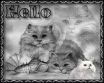 Click image for larger version

Name:	LookingOutWindow.gif
Views:	203
Size:	302.6 KB
ID:	45227