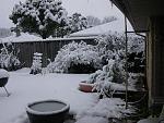 Click image for larger version

Name:	Back Yard # 2 - Feb 11, 2010.JPG
Views:	206
Size:	70.5 KB
ID:	45472
