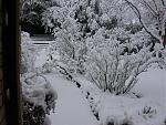 Click image for larger version

Name:	Front Door Walkway - Feb 11, 2010.JPG
Views:	216
Size:	79.9 KB
ID:	45473