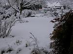 Click image for larger version

Name:	Front Yard # 1 - Feb 11, 2010.JPG
Views:	212
Size:	71.6 KB
ID:	45474