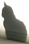 Click image for larger version

Name:	buddha-shadow.jpg
Views:	175
Size:	10.6 KB
ID:	45817