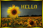 Click image for larger version

Name:	SunflowerHello.gif
Views:	191
Size:	235.3 KB
ID:	46234