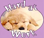 Click image for larger version

Name:	hardwork.jpg
Views:	154
Size:	41.4 KB
ID:	46245