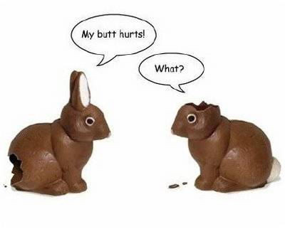 Name:  bunny.bmp
Views: 359
Size:  377.4 KB