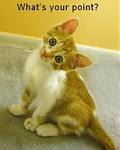 Click image for larger version

Name:	kittywhatsyourpoint.jpg
Views:	169
Size:	6.0 KB
ID:	46249