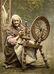 Click image for larger version

Name:	Elderlyspinnera.jpg
Views:	216
Size:	871.2 KB
ID:	48159