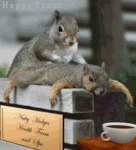 Click image for larger version

Name:	AnimatedSquirrelMassageAd.gif
Views:	165
Size:	245.0 KB
ID:	48372