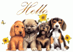 Click image for larger version

Name:	pupppyhello.gif
Views:	224
Size:	105.5 KB
ID:	48540
