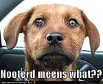 Click image for larger version

Name:	cute-puppy-pictures-dog-neutered-car.jpg
Views:	222
Size:	105.9 KB
ID:	48583