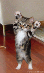Click image for larger version

Name:	funny_animated_pictures_18.gif
Views:	279
Size:	330.3 KB
ID:	48588