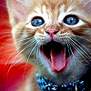 Name:  sweet_cat_scream.jpg
Views: 421
Size:  37.8 KB