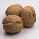 Name:  walnuts.jpg
Views: 147
Size:  6.2 KB