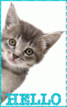 Click image for larger version

Name:	124578175630210.gif
Views:	167
Size:	216.3 KB
ID:	48893