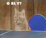 Click image for larger version

Name:	funnypic254.gif
Views:	187
Size:	248.9 KB
ID:	49398
