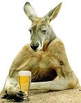 Click image for larger version

Name:	kangaroo.jpg
Views:	210
Size:	33.9 KB
ID:	49714