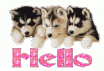 Click image for larger version

Name:	hellohuskies.gif
Views:	149
Size:	78.0 KB
ID:	49794