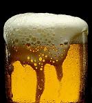 Click image for larger version

Name:	bier3.jpg
Views:	448
Size:	105.4 KB
ID:	49945