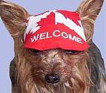Click image for larger version

Name:	welcome.jpg
Views:	213
Size:	13.8 KB
ID:	51000