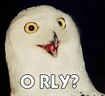 Click image for larger version

Name:	orly.jpg
Views:	366
Size:	8.4 KB
ID:	51378
