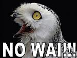 Click image for larger version

Name:	owl-nowai.jpg
Views:	361
Size:	20.9 KB
ID:	51380