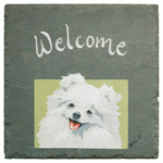Click image for larger version

Name:	DOGS-POM.gif
Views:	227
Size:	22.8 KB
ID:	51686