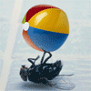 Name:  fly_ball_animated_avatar_100x100_53512.gif
Views: 208
Size:  26.3 KB