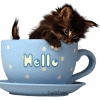 Name:  hello_to_you.gif
Views: 335
Size:  11.1 KB