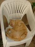 Click image for larger version

Name:	tibou2.jpg
Views:	694
Size:	149.1 KB
ID:	52896