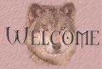 Click image for larger version

Name:	wolfwelcome.jpg
Views:	228
Size:	24.5 KB
ID:	52925