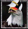 Name:  eagleeye_fifa.jpg
Views: 346
Size:  27.9 KB