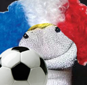 Name:  zippy_FIFA.jpg
Views: 386
Size:  33.4 KB