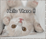 Click image for larger version

Name:	Hello%20there%20Kitty.gif
Views:	221
Size:	33.5 KB
ID:	53461