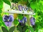 Click image for larger version

Name:	welcome pansys.jpg
Views:	238
Size:	12.5 KB
ID:	53814