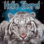 Click image for larger version

Name:	hello-there-tiger-wd-1.gif
Views:	212
Size:	105.7 KB
ID:	54000