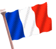 Name:  France-French-National-Flag-LH.gif
Views: 448
Size:  65.1 KB