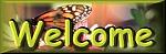 Click image for larger version

Name:	Monarch&Flowers.jpg
Views:	233
Size:	11.6 KB
ID:	54211