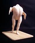 Click image for larger version

Name:	chicken_legs_front.jpg
Views:	199
Size:	31.8 KB
ID:	54286
