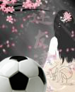 Name:  Sakura_soccer.jpg
Views: 402
Size:  25.8 KB