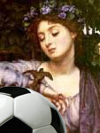 Name:  sparrow_soccer.jpg
Views: 209
Size:  32.4 KB