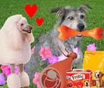 Click image for larger version

Name:	congrats_VR.jpg
Views:	269
Size:	38.1 KB
ID:	55029