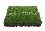 Click image for larger version

Name:	grass-mat.jpg
Views:	152
Size:	106.2 KB
ID:	55070