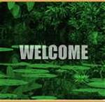 Click image for larger version

Name:	welcome greens.jpg
Views:	209
Size:	5.3 KB
ID:	55160